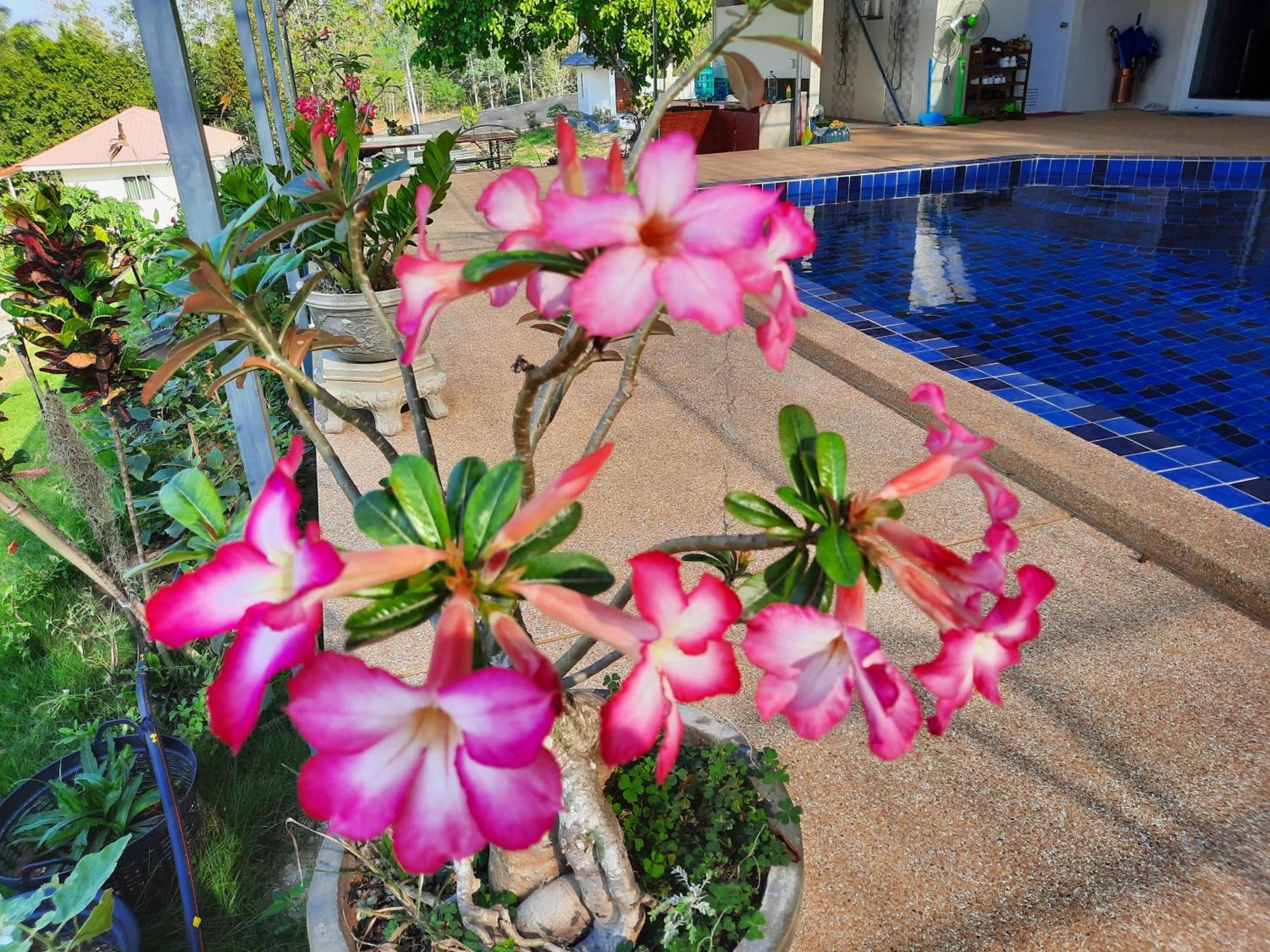 Lemax Homestay And Thailand Tours Пхетчабурі Екстер'єр фото